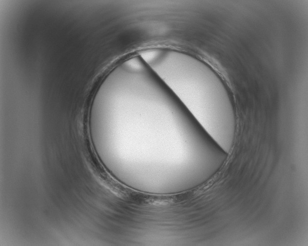 X0000075880155200609151016