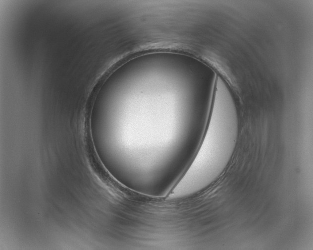 X0000075880156200609151016