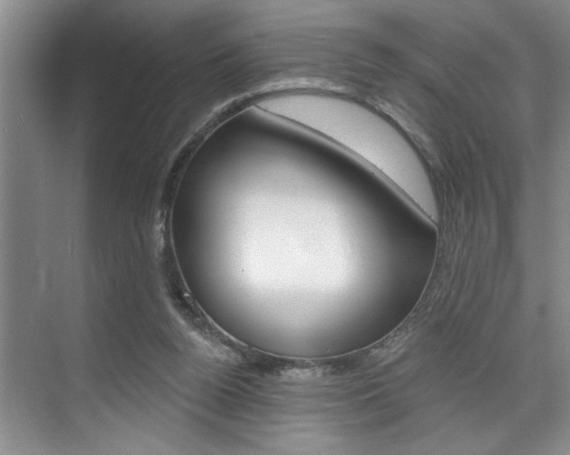 X0000075880160200609151016