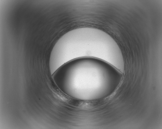 X0000075880174200609151017