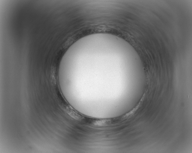 X0000075880178200609151017