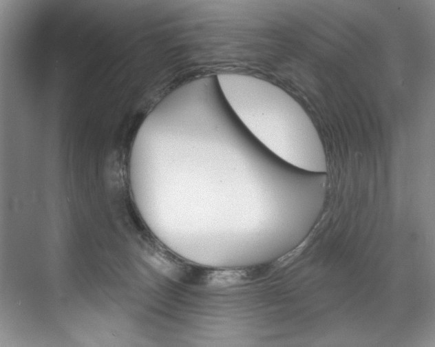 X0000075880179200609151017