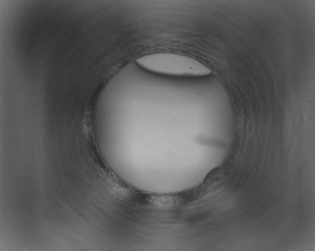 X0000075880181200609151017