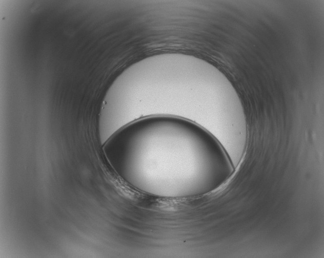 X0000075880190200609151017
