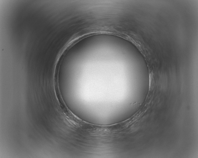 X0000075880195200609151016
