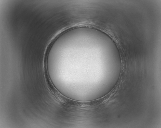 X0000075880196200609151016
