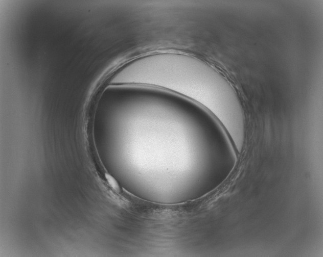 X0000075880197200609151016