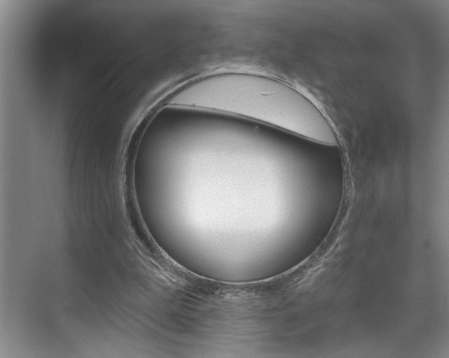 X0000075880199200609151016