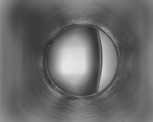 X0000075880201200609151016