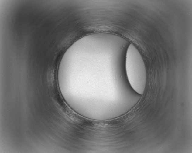 X0000075880206200609151016