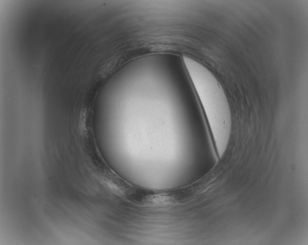 X0000075880219200609151016