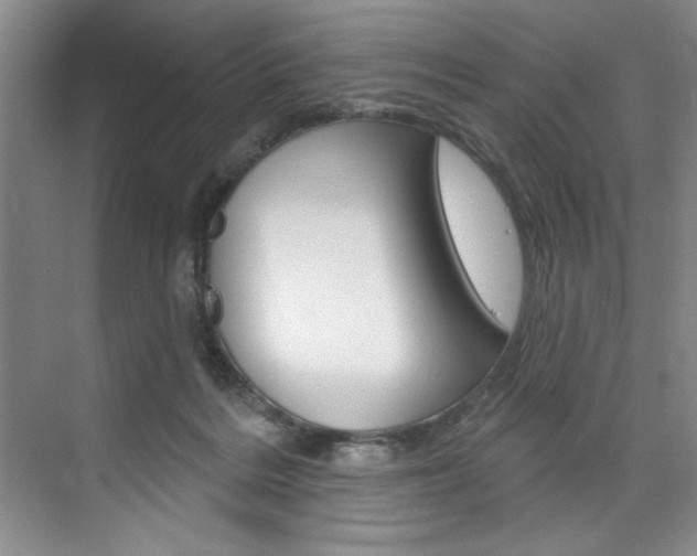 X0000075880220200609151016