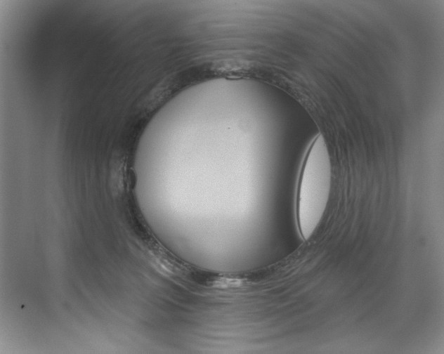 X0000075880227200609151015