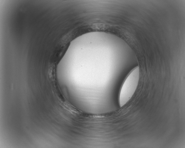 X0000075880233200609151015
