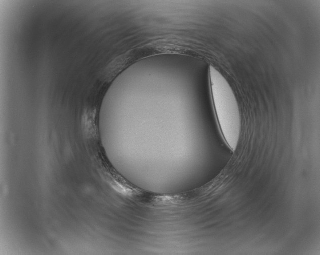 X0000075880239200609151015