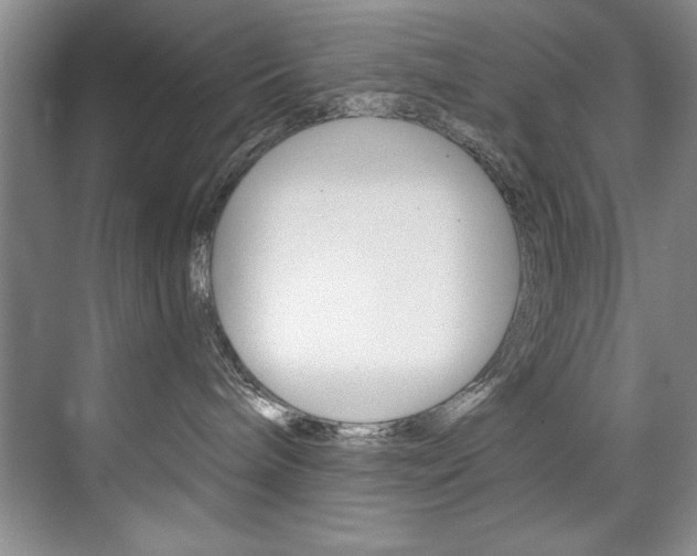X0000075880240200609151015