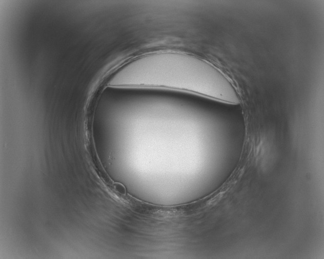 X0000075880245200609151014
