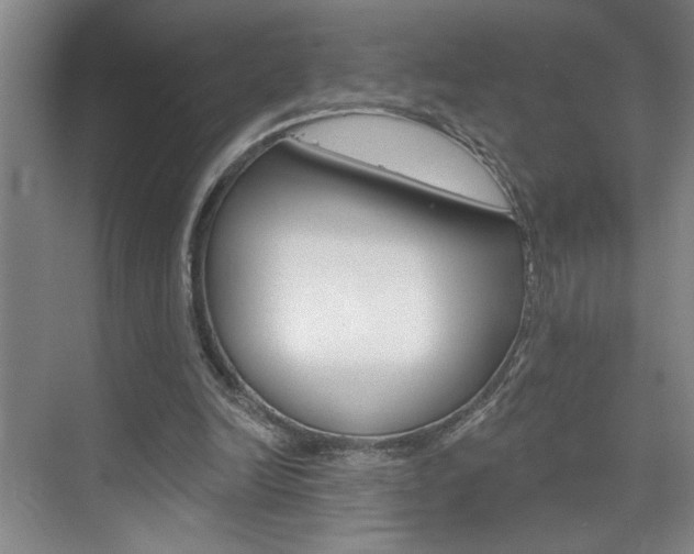X0000075880246200609151014