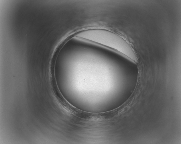 X0000075880248200609151015