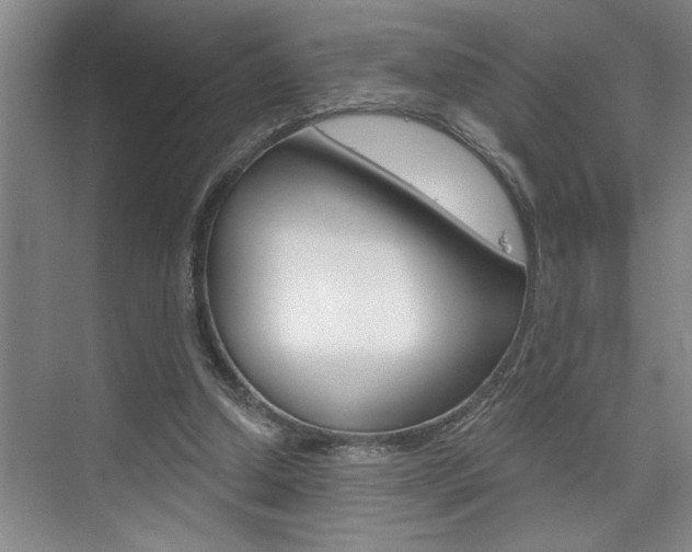 X0000075880250200609151015