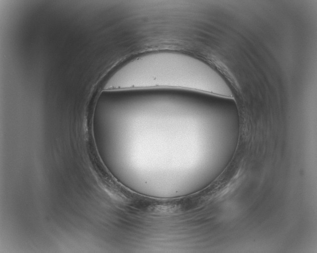X0000075880251200609151015