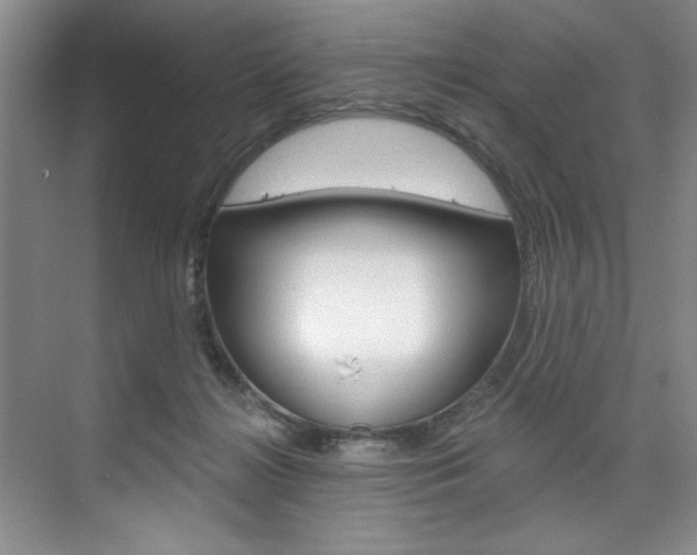 X0000075880268200609151015