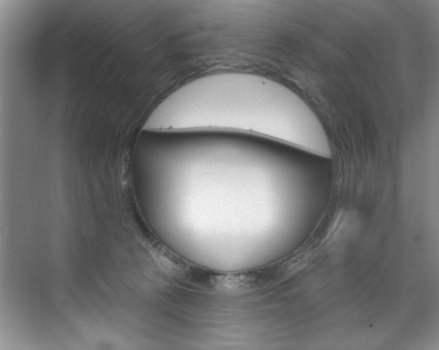 X0000075880273200609151015