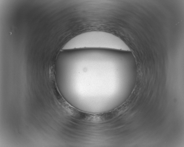 X0000075880276200609151015