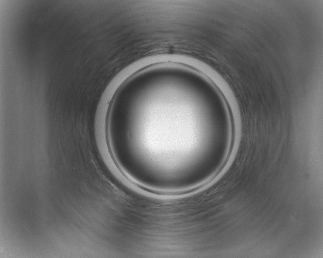X0000075880277200609151015