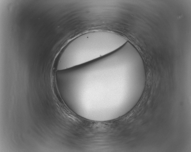 X0000075880290200609151014