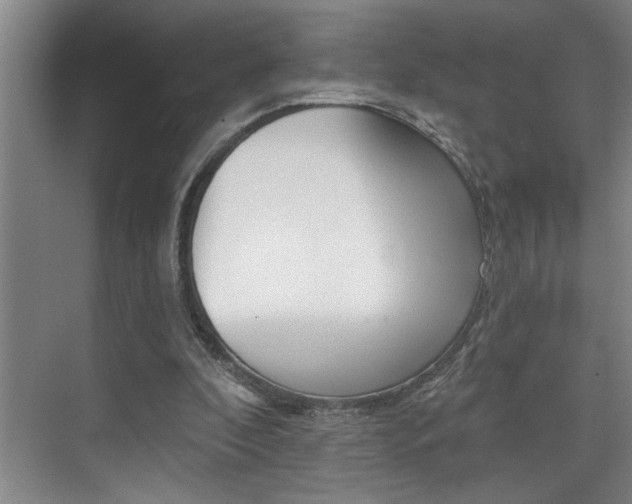 X0000075880296200609151014