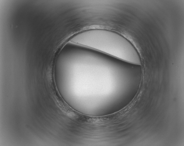 X0000075880297200609151014