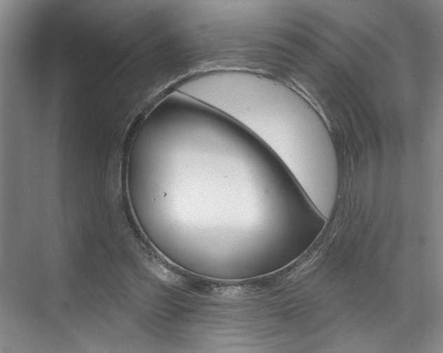 X0000075880301200609151014