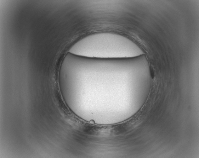 X0000075880306200609151014