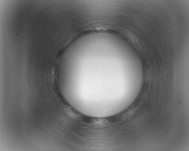 X0000075880321200609151014