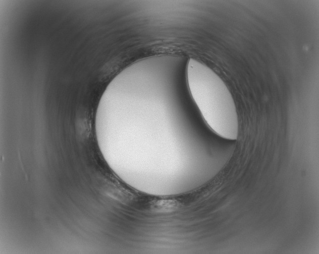 X0000075880324200609151014