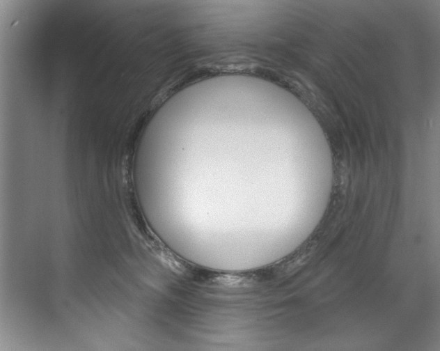 X0000075880326200609151014