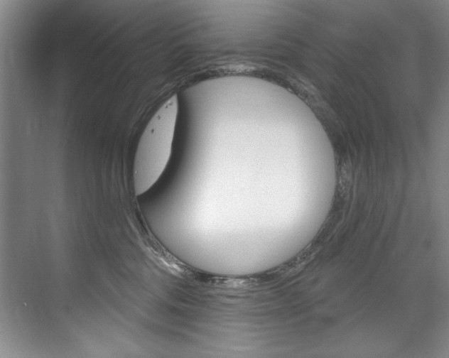 X0000075880330200609151014