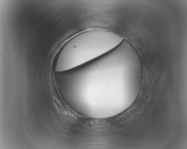 X0000075880338200609151013