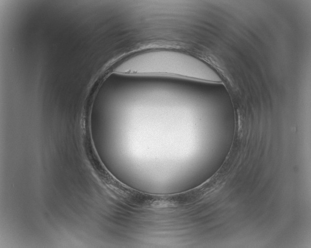 X0000075880348200609151013