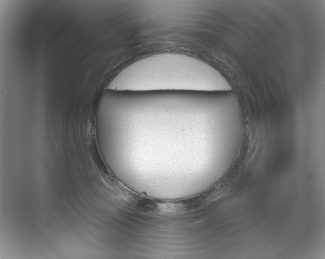 X0000075880371200609151013