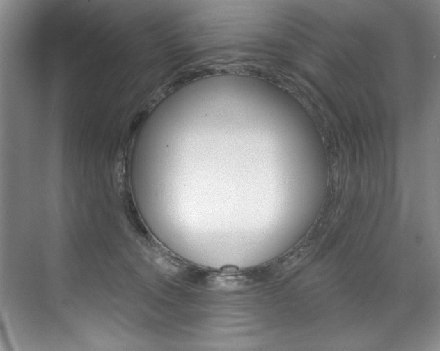 X0000075880372200609151013