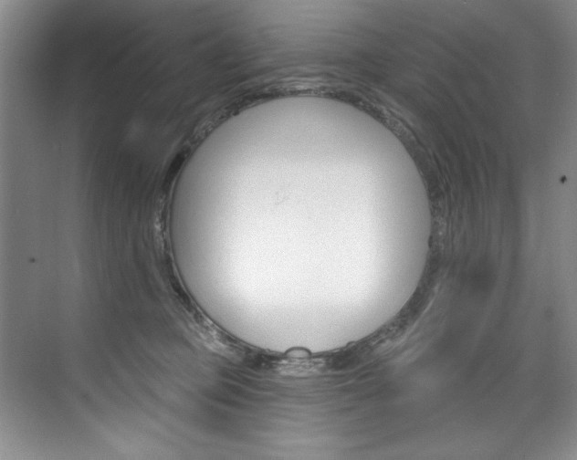 X0000075880373200609151013