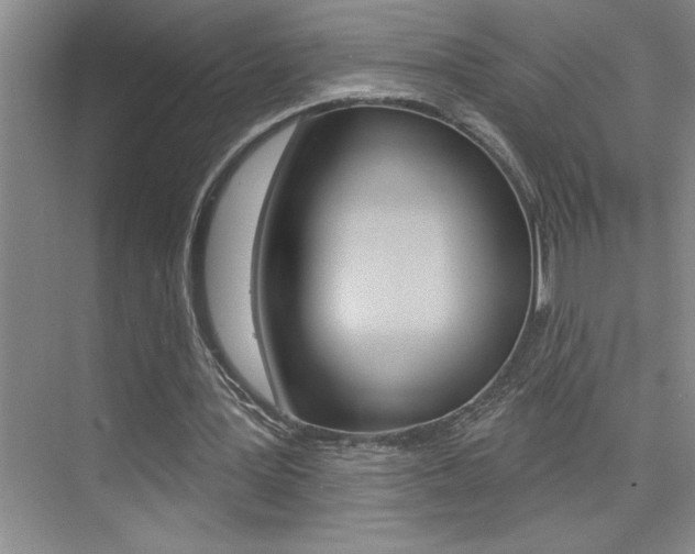X0000075880387200609151013