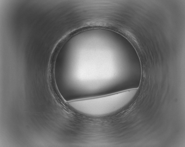 X0000075880388200609151013