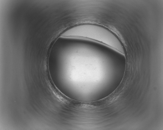X0000075880393200609151013