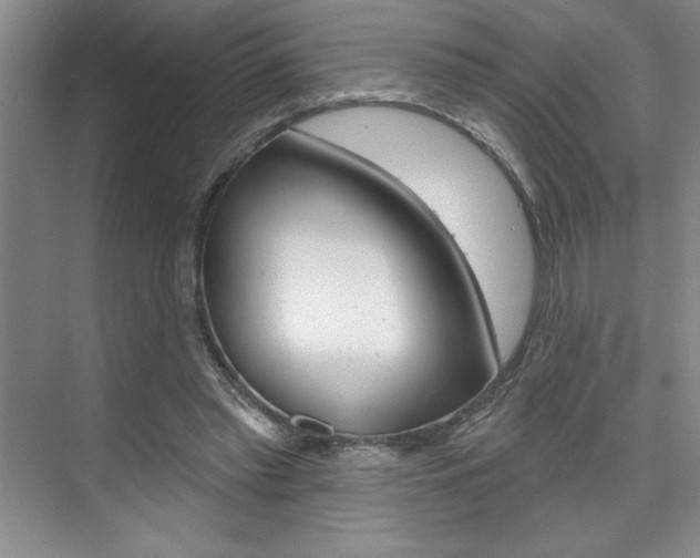 X0000075880397200609151013