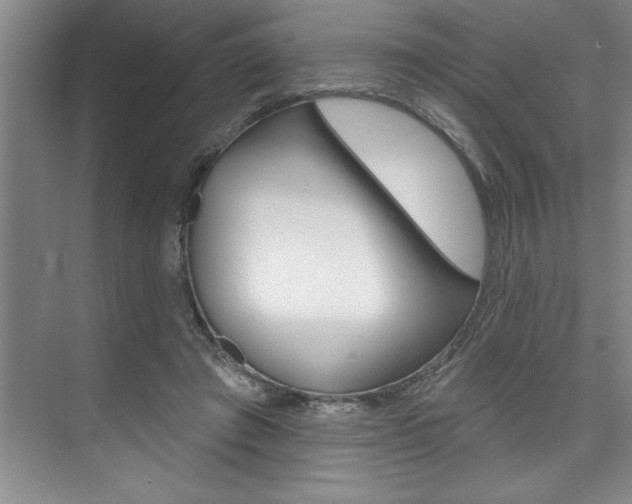X0000075880401200609151012