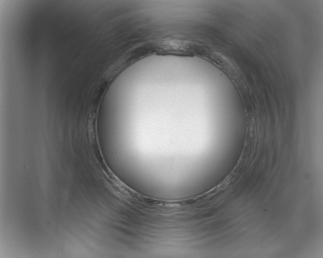 X0000075880409200609151012