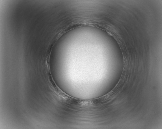 X0000075880415200609151012